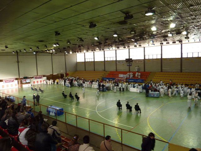 Deporte Infantil Fase de Area