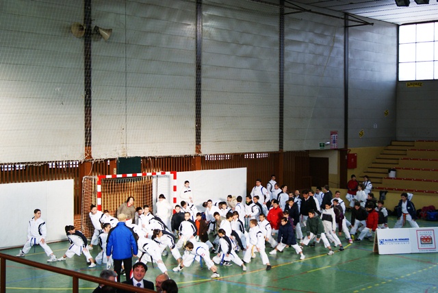 Deporte Infantil Fase de Area