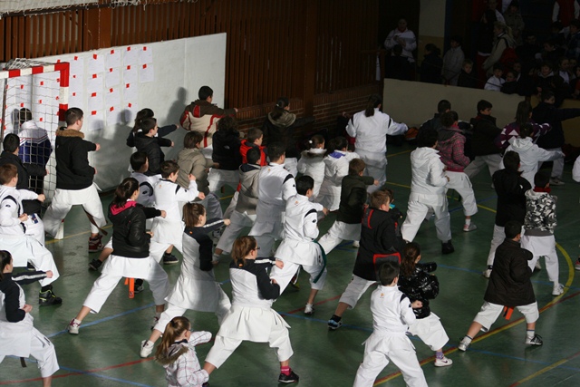 Deporte Infantil Fase de Area