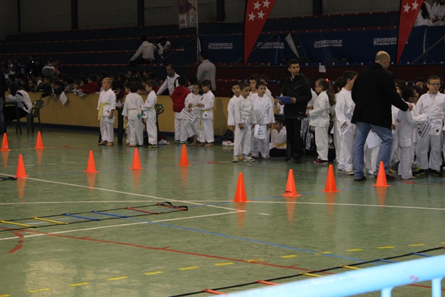 Deporte Infantil Tesuto San