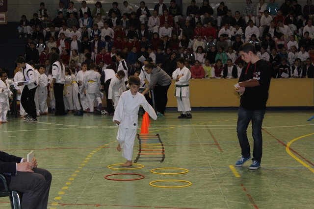 Deporte Infantil Tesuto San