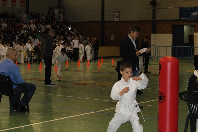 Deporte Infantil Tesuto San