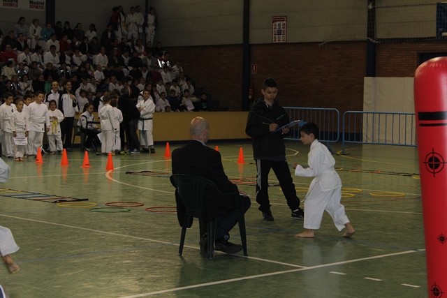 Deporte Infantil Tesuto San