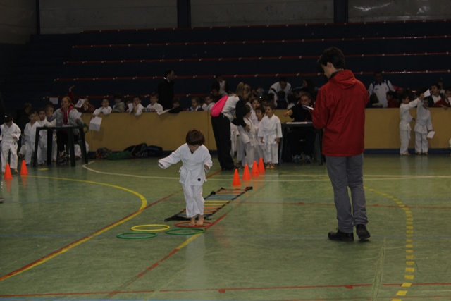Deporte Infantil Tesuto San