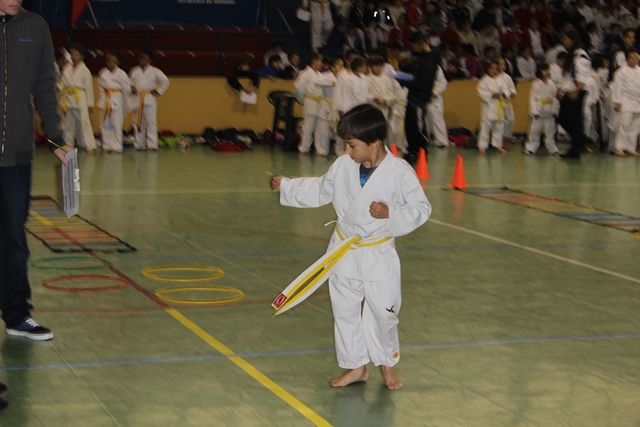 Deporte Infantil Tesuto San