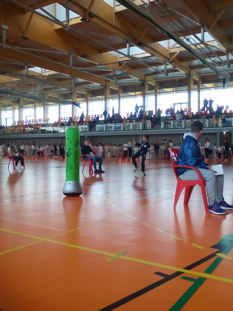 Deporte Infantil Tesuto San