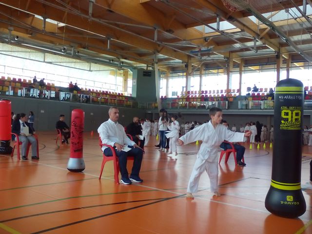 Deporte Infantil Tesuto San