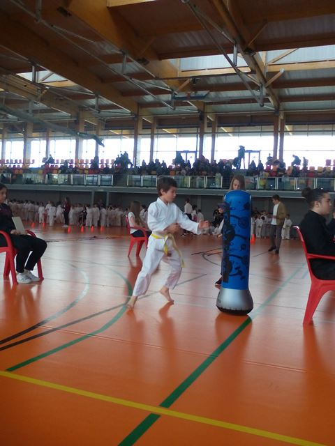 Deporte Infantil Tesuto San