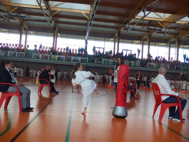 Deporte Infantil Tesuto San