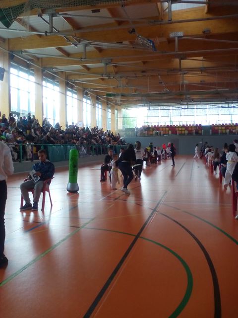 Deporte Infantil Tesuto San