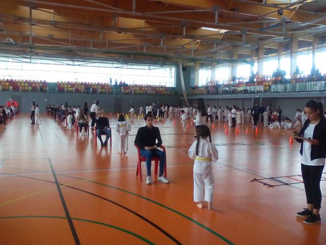 Deporte Infantil Tesuto San