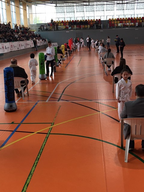 Deporte Infantil Tesuto San