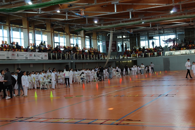 Deporte Infantil Tesuto San