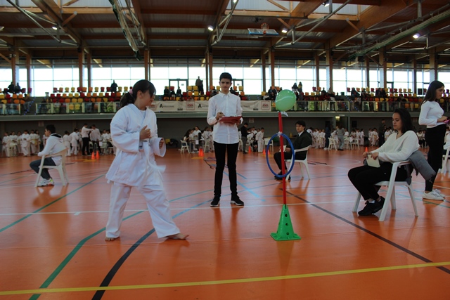 Deporte Infantil Tesuto San
