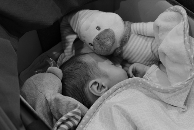 Deporte Infantil Tesuto San