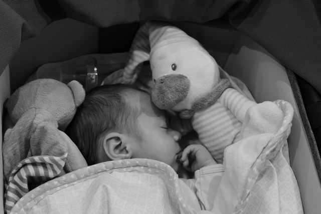 Deporte Infantil Tesuto San