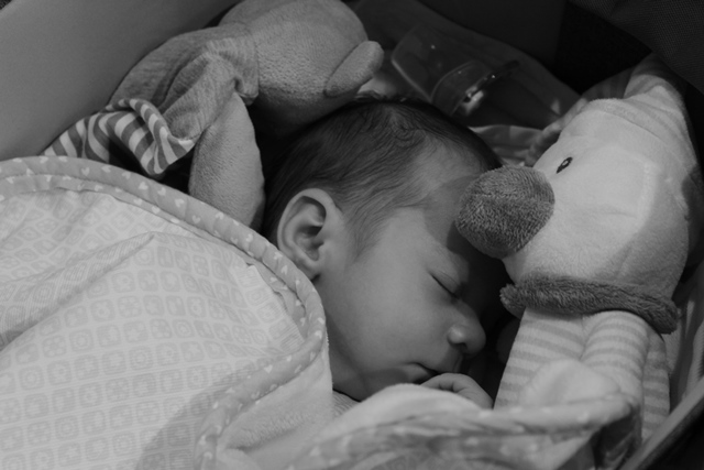 Deporte Infantil Tesuto San