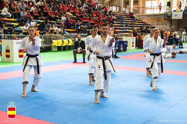 XL Campeonato de España de Clubes
