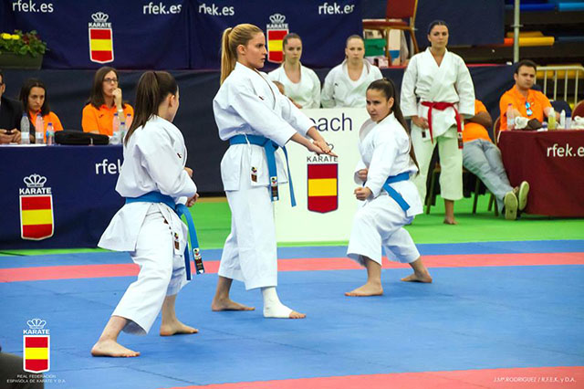 XL Campeonato de España de Clubes