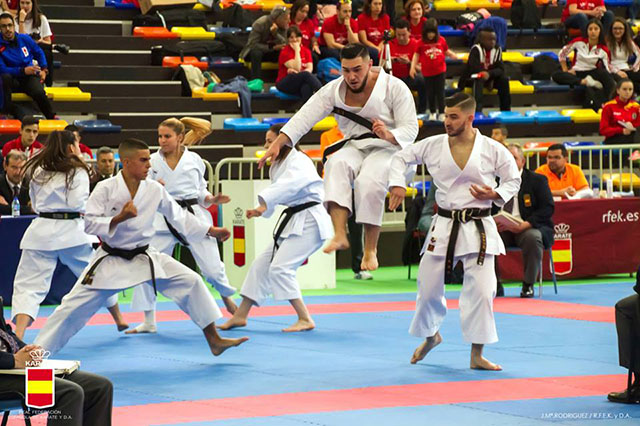 XL Campeonato de España de Clubes