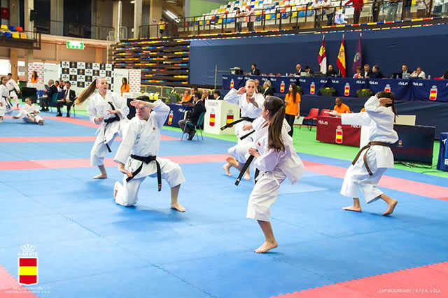 XL Campeonato de España de Clubes