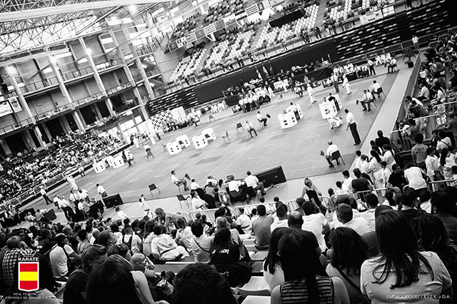 XL Campeonato de España de Clubes