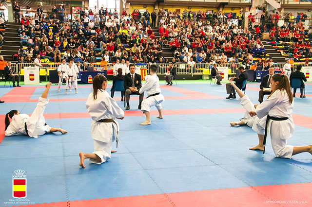 XL Campeonato de España de Clubes