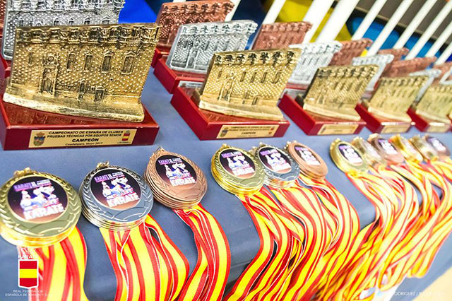 XL Campeonato de España de Clubes