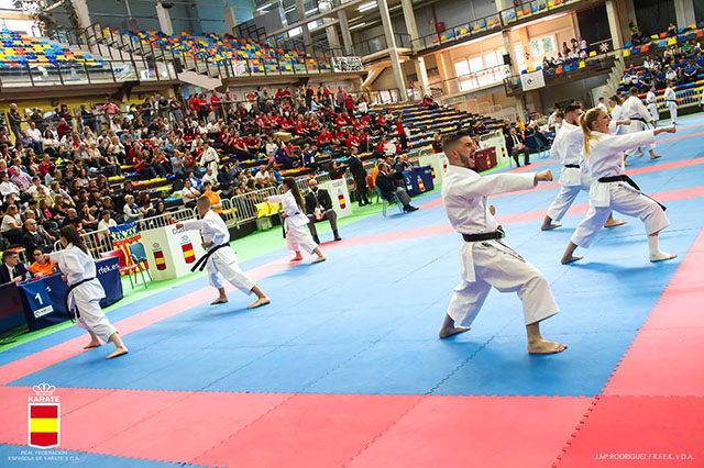 XL Campeonato de España de Clubes