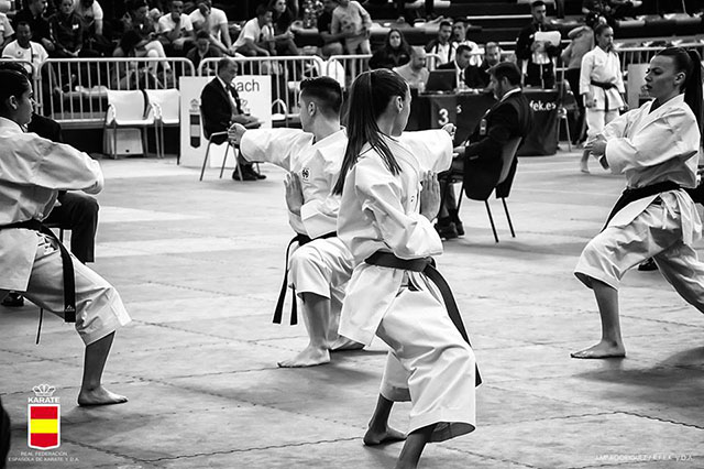 XL Campeonato de España de Clubes