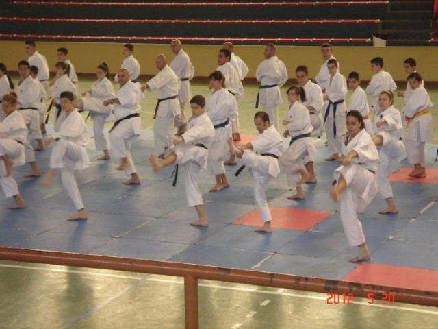 IX Curso de Kárate Infantil