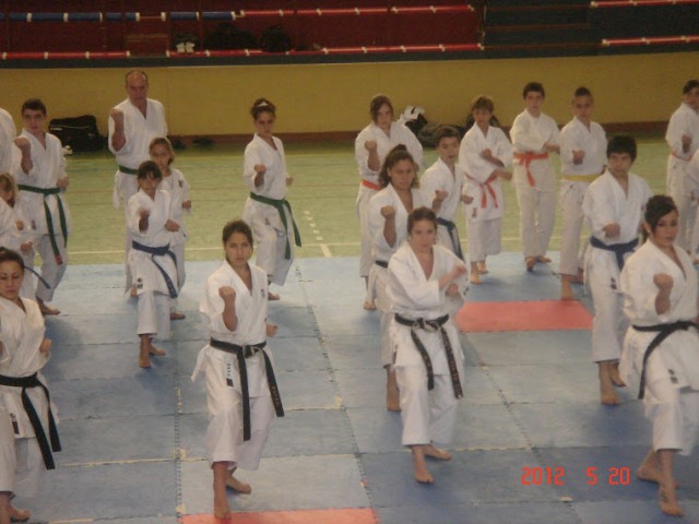 IX Curso de Kárate Infantil