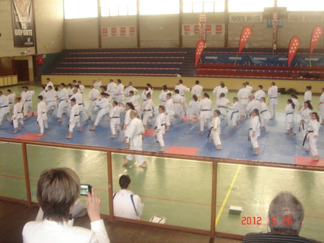 IX Curso de Kárate Infantil