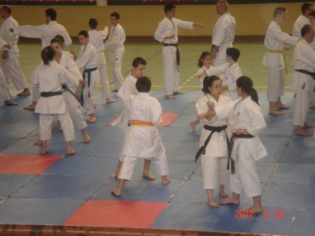 IX Curso de Kárate Infantil