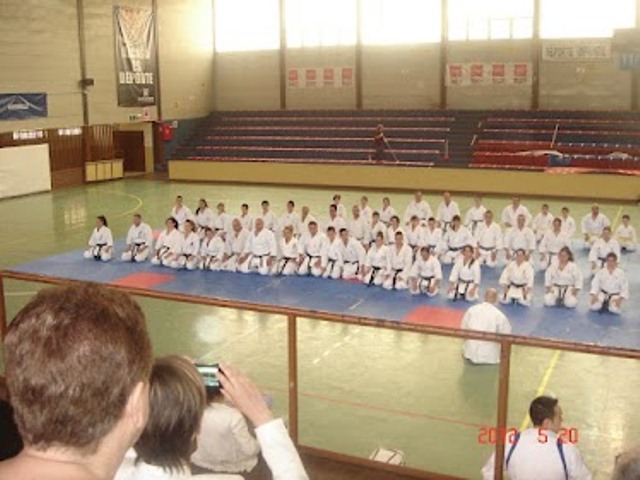 IX Curso de Kárate Infantil