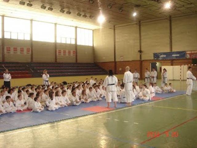 IX Curso de Kárate Infantil