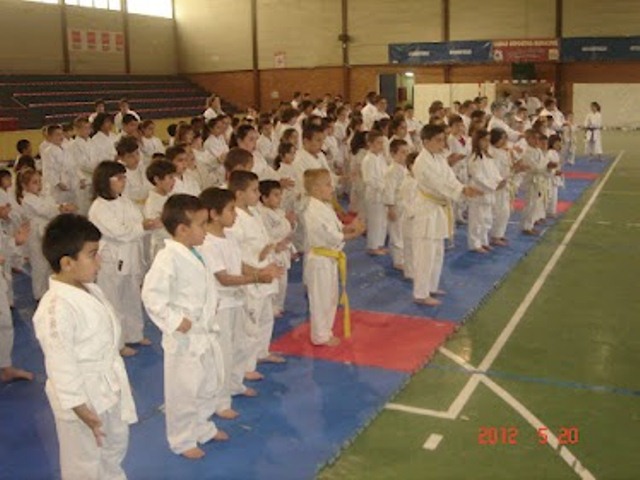 IX Curso de Kárate Infantil
