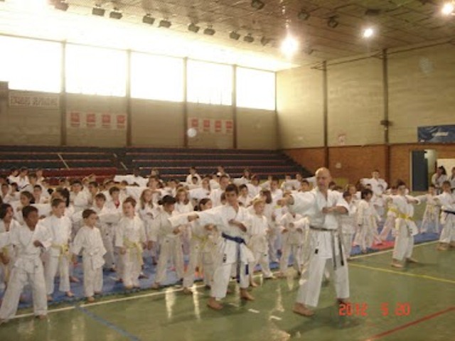 IX Curso de Kárate Infantil