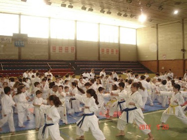 IX Curso de Kárate Infantil