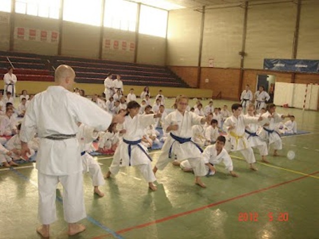 IX Curso de Kárate Infantil
