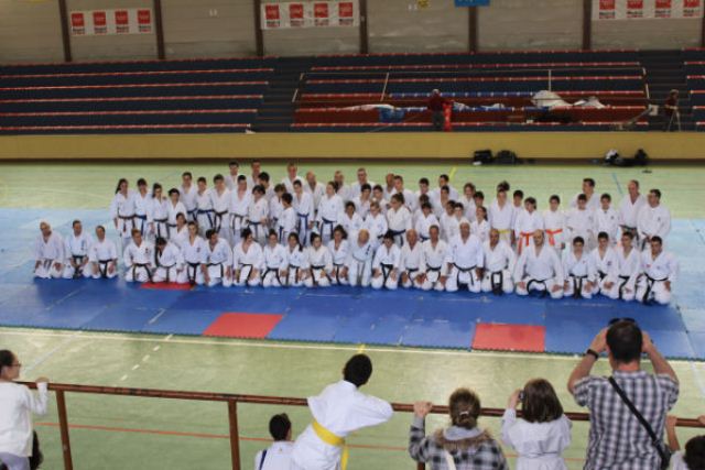 IX Curso de Kárate Infantil