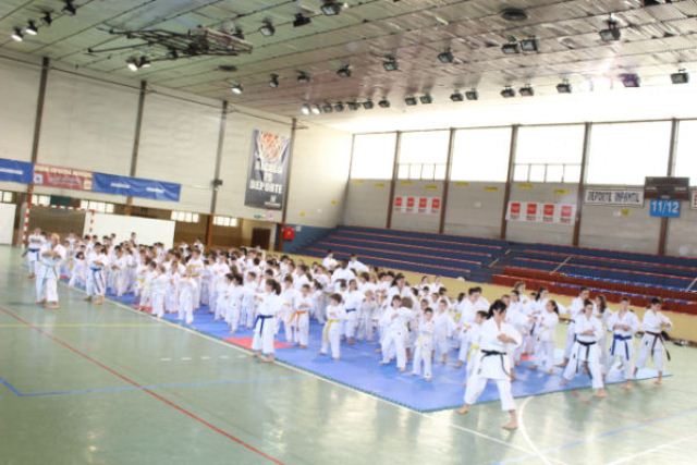 IX Curso de Kárate Infantil