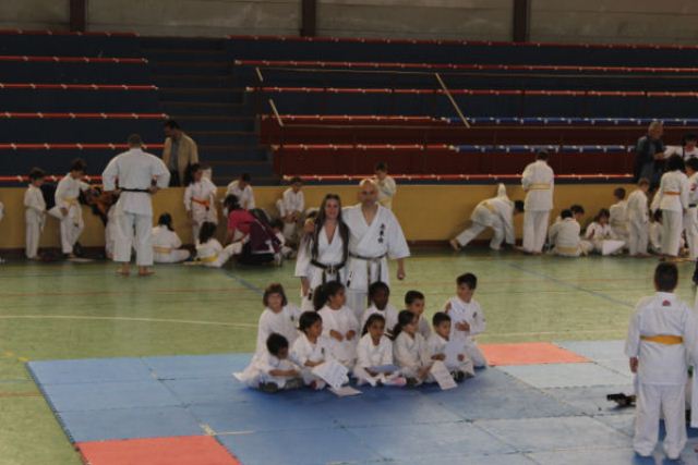 IX Curso de Kárate Infantil