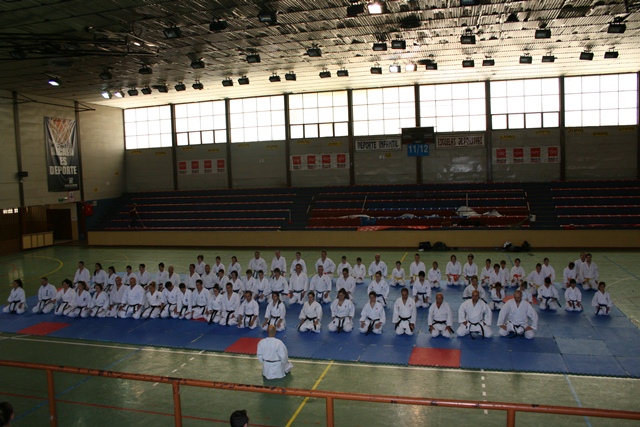 IX Curso de Kárate Infantil