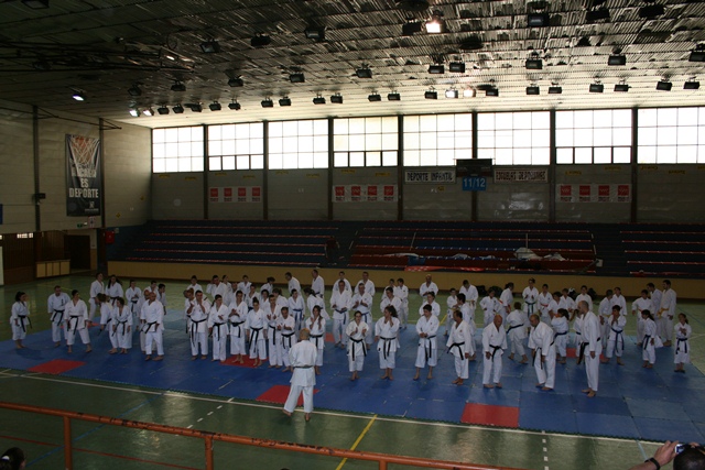 IX Curso de Kárate Infantil