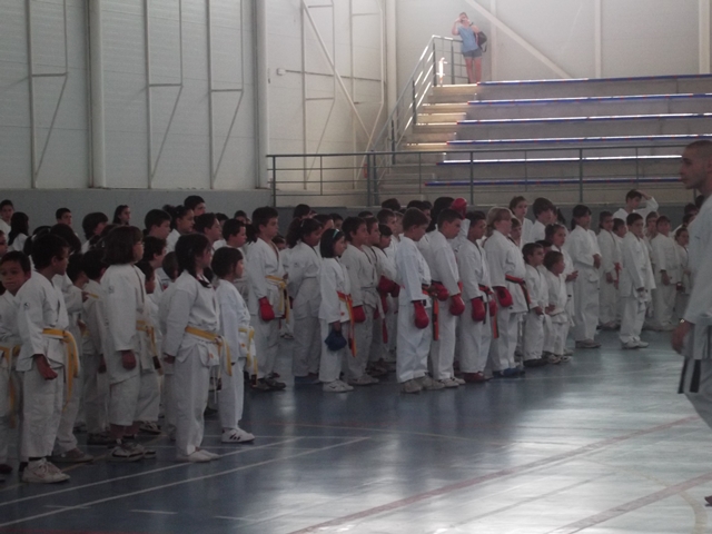 VIII Curso de Karate Victor Alvarado