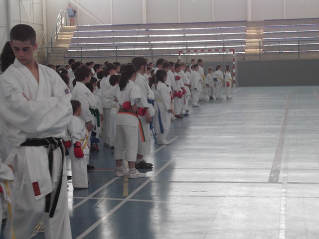 VIII Curso de Karate Victor Alvarado