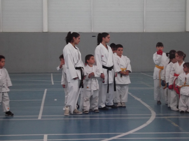 VIII Curso de Karate Victor Alvarado