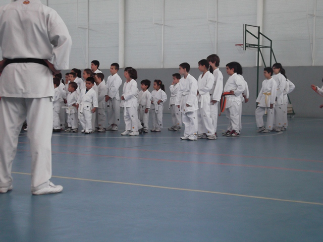 VIII Curso de Karate Victor Alvarado