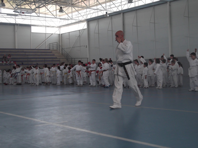 VIII Curso de Karate Victor Alvarado